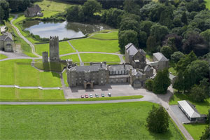 Drishane Castle from the Air