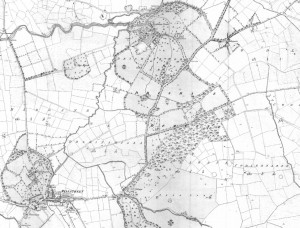 Drishane Demese - The extent of the Drishane Lands c. 1840 (shaded grey). Stretching from the Blackwater river south to Tullig.