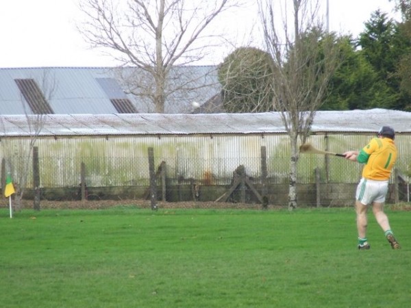 What happened to the trees in the pitch and putt?