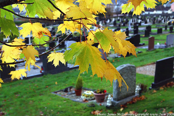 allsoulsday02112009