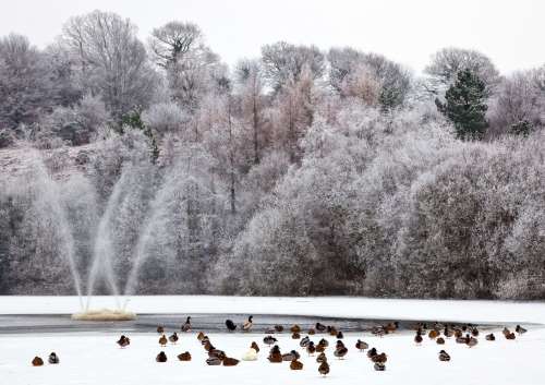 Banteer_Pond_