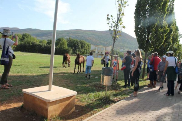 77Medjugorje Pilgrimage 2012 - Part 3