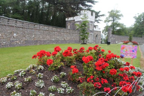 The wonderfully colourful Drishane Road approach to Millstreet has recently had a number of uplifting signs added.   The exquisite floral arrangements so enhance the overall effect.   Very special credit is due to our Millstreet Tidy Towns superbly dedicated members.  (S.R.)