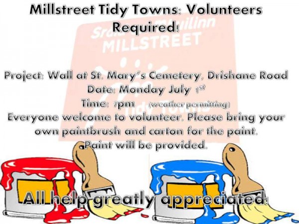 Tidy Towns Project July 1st
