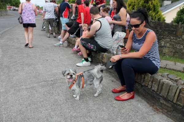 82Millstreet Festival - Day 4 - Sunday 7th July 2013 -800