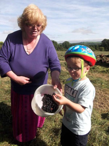 13Autumn Blackberry Treat at Dooneen 2013 -800