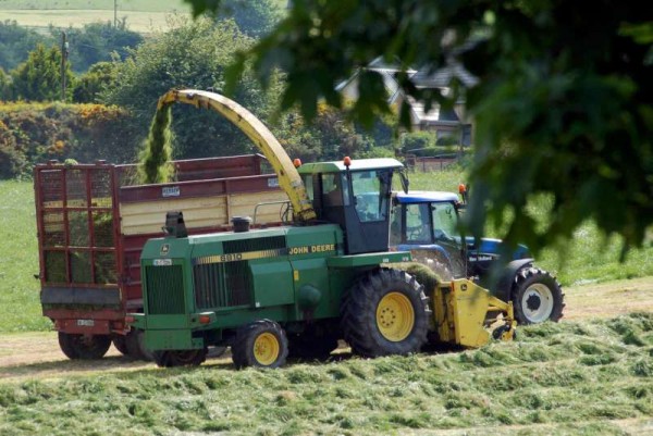 'Round 2' of the silage cutting got under way in Ballydaly last week !!  We thank Geraldine Dennehy for this excellent picture.  (S.R.)