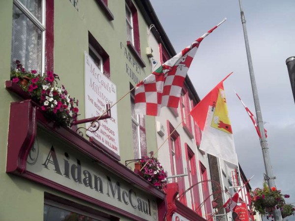 106Colourful Support for Cork's Hurling All-Ireland 2013 -800