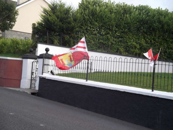 12Colourful Support for Cork's Hurling All-Ireland 2013 -800