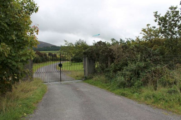 1Kite Fest at Millstreet Country Park 22nd Sept. 2013 -800