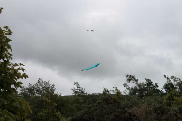 2Kite Fest at Millstreet Country Park 22nd Sept. 2013 -800