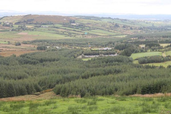 3Kite Fest at Millstreet Country Park 22nd Sept. 2013 -800