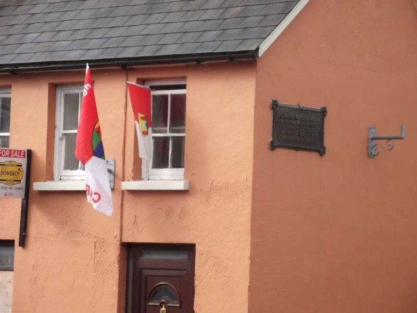 43Colourful Support for Cork's Hurling All-Ireland 2013 -800