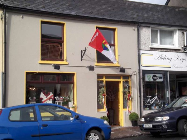 49Colourful Support for Cork's Hurling All-Ireland 2013 -800