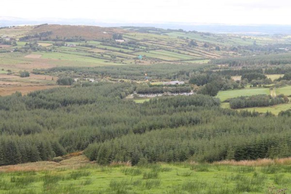 4Kite Fest at Millstreet Country Park 22nd Sept. 2013 -800