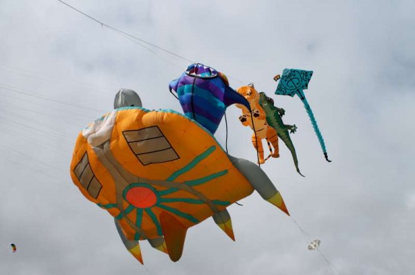 59Kite Fest at Millstreet Country Park 22nd Sept. 2013 -800