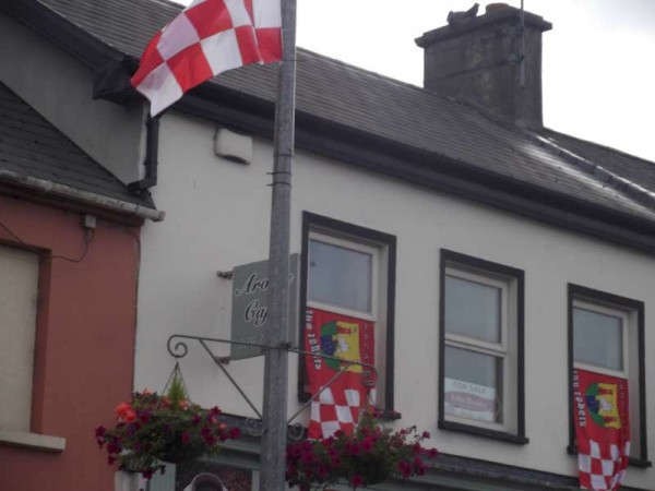 5Colourful Support for Cork's Hurling All-Ireland 2013 -800