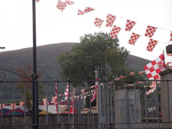 75Colourful Support for Cork's Hurling All-Ireland 2013 -800