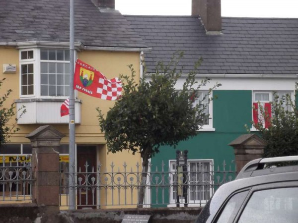 76Colourful Support for Cork's Hurling All-Ireland 2013 -800