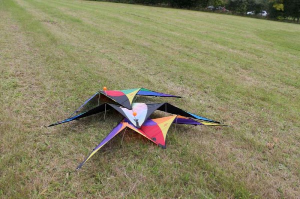 78Kite Fest at Millstreet Country Park 22nd Sept. 2013 -800