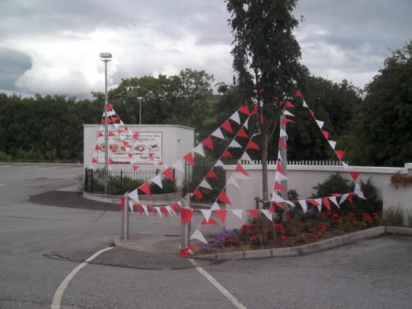 7Colourful Support for Cork's Hurling All-Ireland 2013 -800