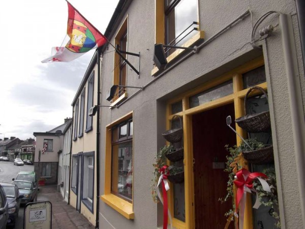 96Colourful Support for Cork's Hurling All-Ireland 2013 -800