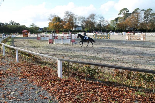 22Owners Pony & Young Riders Show 2013 -800