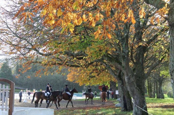 The annual Owners Pony & Young Riders Charity Show began in Green Glens on Friday in glorious autumnal sunshine.  Here we share a selection of images from the very colourful event.   Click on the images to enlarge.  (S.R.)