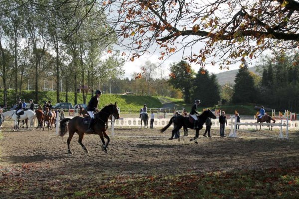 36Owners Pony & Young Riders Show 2013 -800