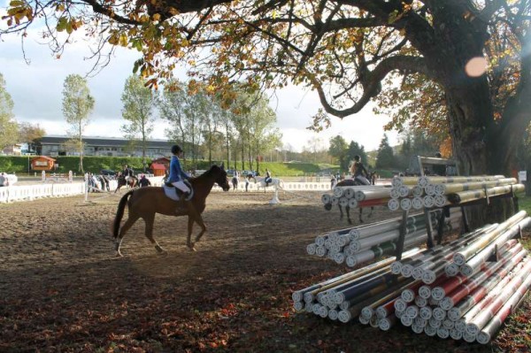 43Owners Pony & Young Riders Show 2013 -800