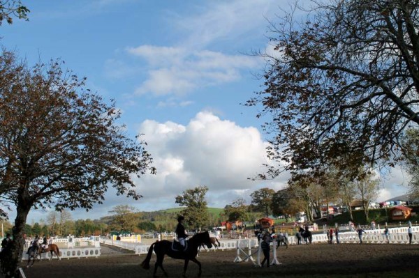 48Owners Pony & Young Riders Show 2013 -800