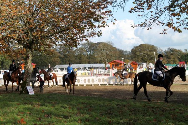 51Owners Pony & Young Riders Show 2013 -800