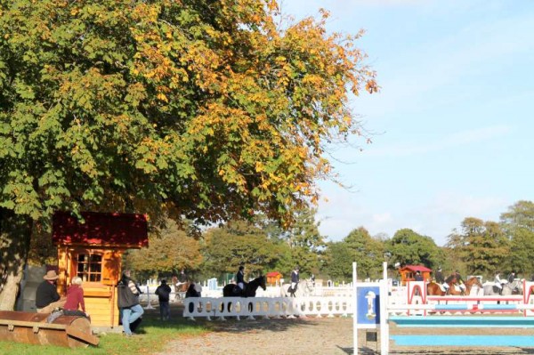 65Owners Pony & Young Riders Show 2013 -800