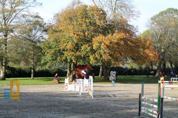 67Owners Pony & Young Riders Show 2013 -800