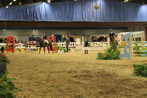 95Owners Pony & Young Riders Show 2013 -800