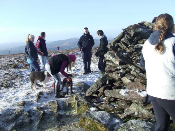 2013-12-25 Mushera Christmas Day Climb - dogs were welcome too 7753-800