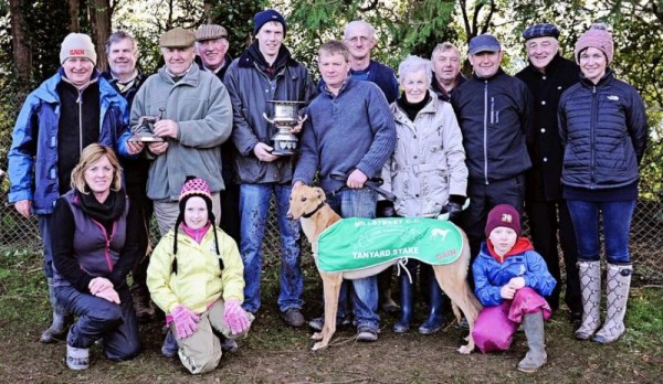 2014-01-04 At Millstreet Coursing Clubs Centenary Meeting the Working Members Tanyard Stake was win by Bower Dynamo-800