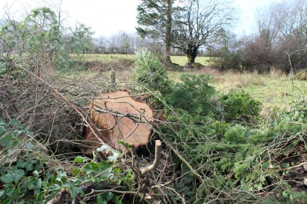 12Storm Darwin Aftermath in Millstreet 2014 -800