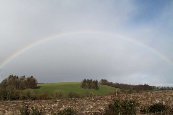 A wonderfully colourful rainbow over Cashman's Park on 25th Feb. 2014.   Click on the image to enlarge.  (S.R.)