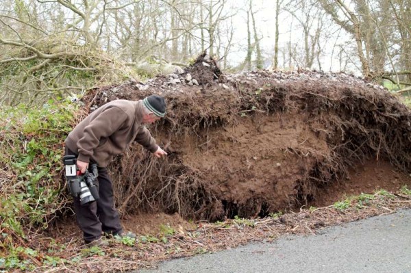 28Storm Darwin Aftermath in Millstreet 2014 -800