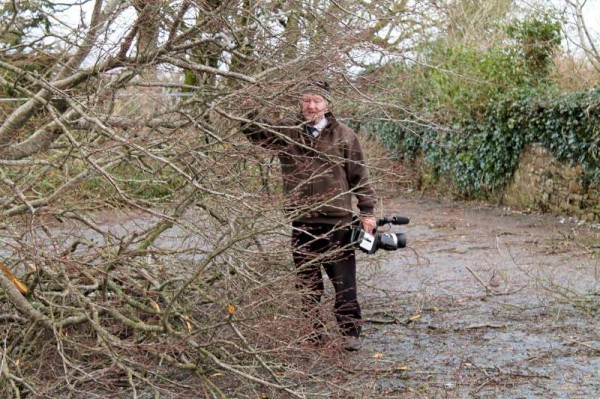 33Storm Darwin Aftermath in Millstreet 2014 -800