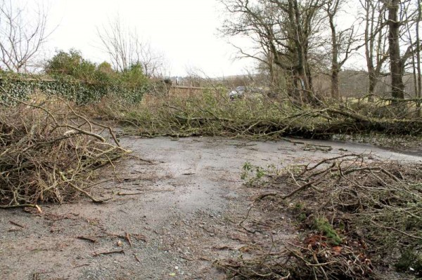 41Storm Darwin Aftermath in Millstreet 2014 -800
