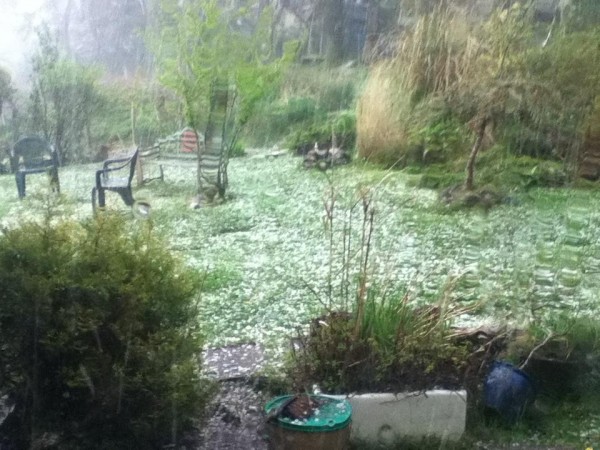 2014-04-27 Oissine Moore took this photo of the marble sized hailstone at Kilmeedy at 5.11pm