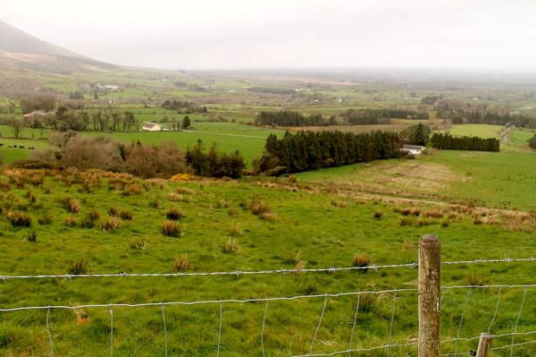 20Day One of Millstreet Walking Festival 2014