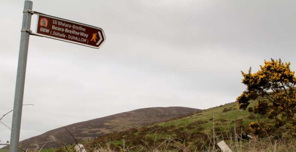 26Day One of Millstreet Walking Festival 2014