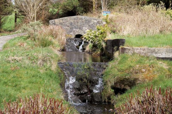 29Millstreet Walking Festival 2014 - Day Two -800