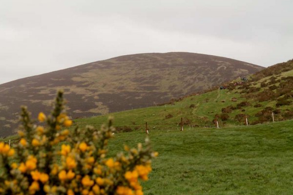 35Day One of Millstreet Walking Festival 2014