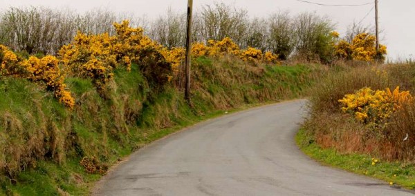 40Day One of Millstreet Walking Festival 2014