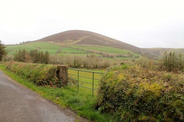 41Day One of Millstreet Walking Festival 2014