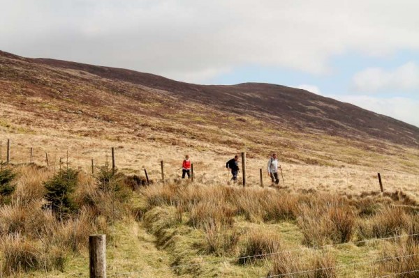 7Millstreet Walking Festival 2014 - Day Two -800